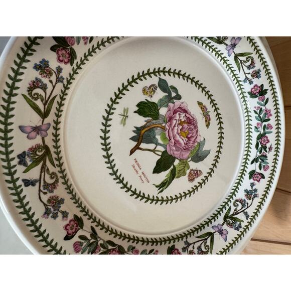 Vintage Portmeirion Variations Botanical Susan Williams-Ellis - 2 Dinner Plates - Picture 5 of 12